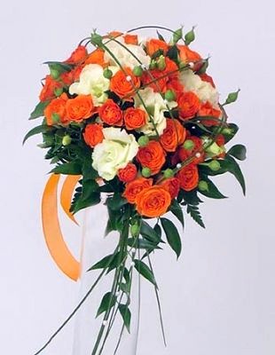   37-   