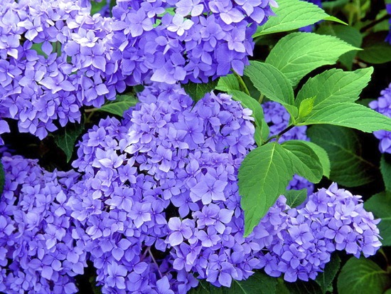 65        