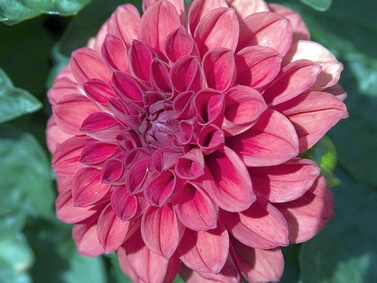 10         -