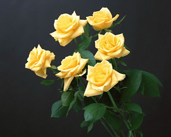 25-       