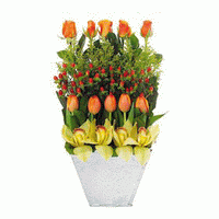 10         -