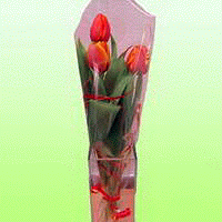   7     - 